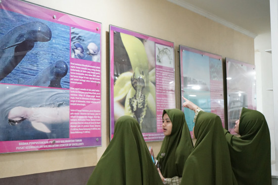 Gak Perlu Bayar, Semua Layanan Perpustakaan dan Arsip di Kaltim 100% Gratis!